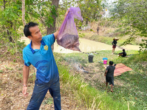 Catching large fish in an isaan lake