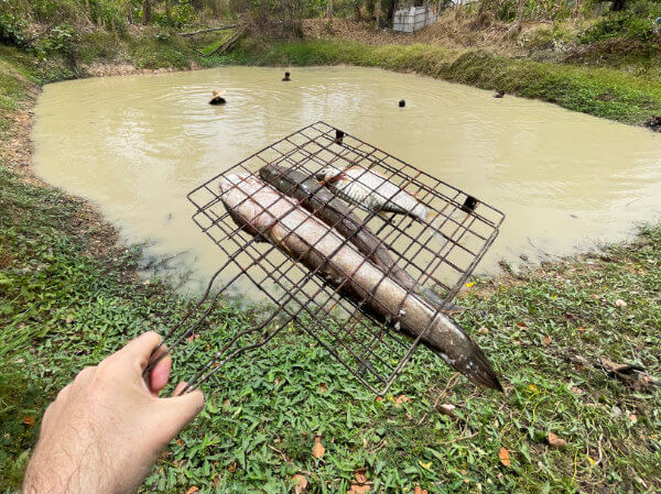 Thai cooking class with fresh fish