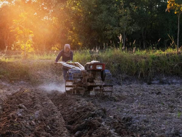 Thai rice farmer ploughing a field