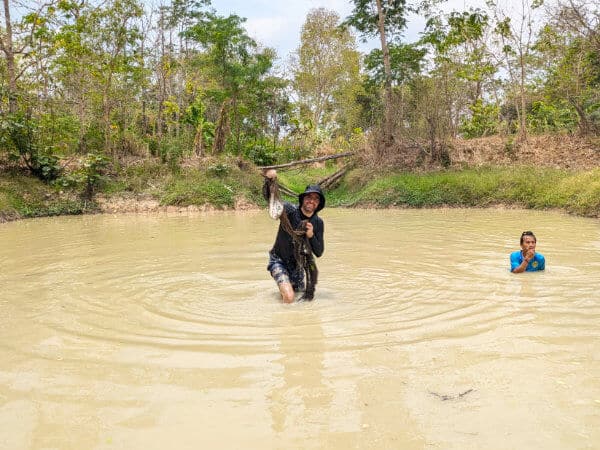 catching a tilap[ia fish in a Thailand homestay