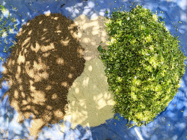 collecting materials for organic compost in Thailand