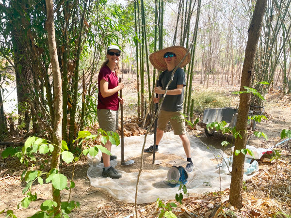 crushing termite mound for compost materials