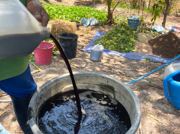 microorganisms applied to compost in Thailand