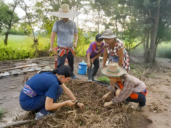 planting flowers in the model farm
